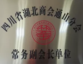 四川省湖北商会通山分会常务副会长单位