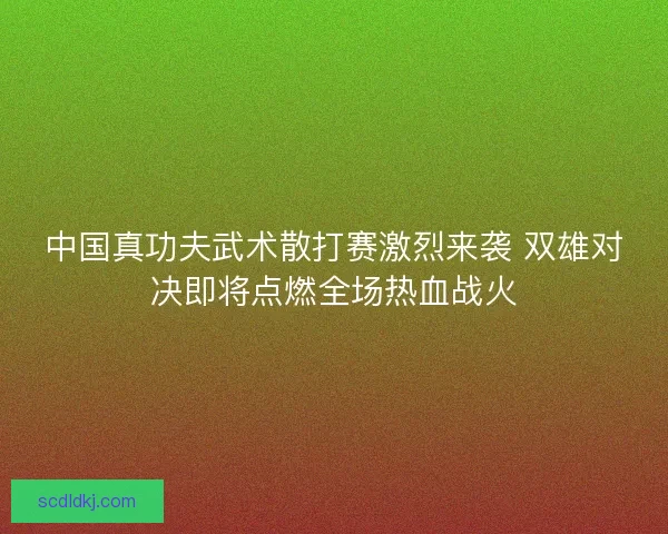 中国真功夫武术散打赛激烈来袭 双雄对决即将点燃全场热血战火