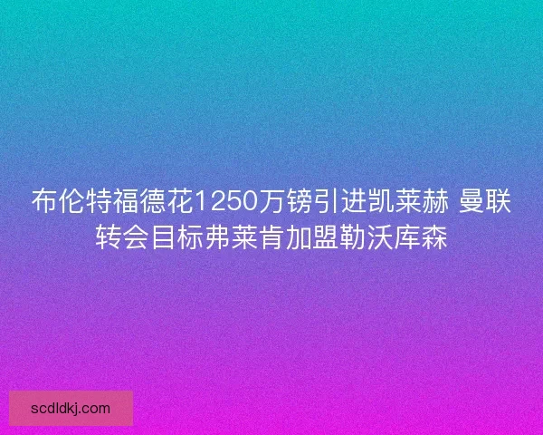 布伦特福德花1250万镑引进凯莱赫 曼联转会目标弗莱肯加盟勒沃库森